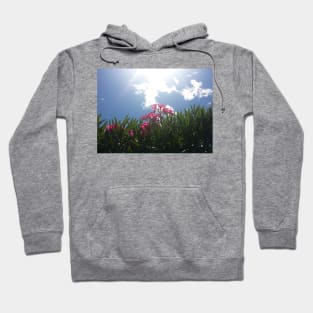 Pink Flowers And Sky Hoodie